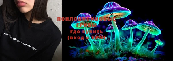 спайс Алзамай
