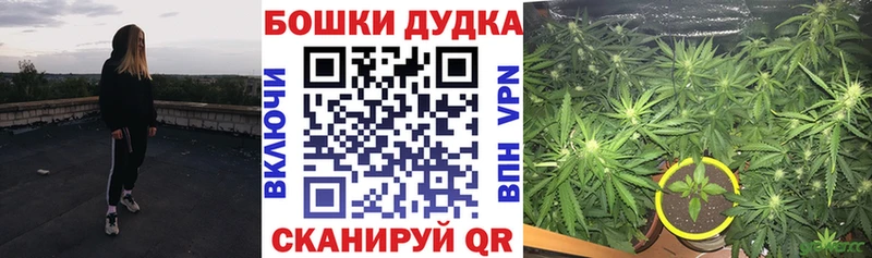 kraken как войти  Гаджиево  Канабис White Widow 